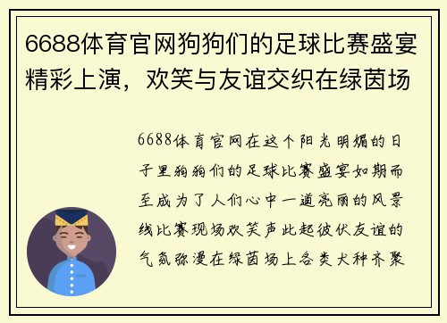 6688体育官网狗狗们的足球比赛盛宴精彩上演，欢笑与友谊交织在绿茵场上
